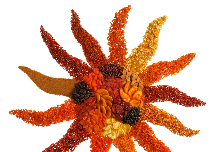 Artistic photo of a sun made from a variety of dried fruits offered by Traina Home Grown, featuring shades of orange, red, blue, and yellow from fruits like cherries, tomatoes, blueberries, peaches, and pears, highlighting our sun-dried fruit specialty.