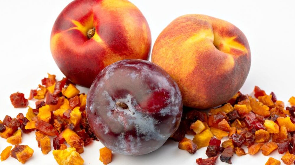 How Dried Fruits Can Lead to a Healthy Gut