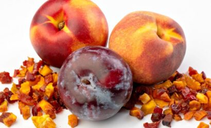 How Dried Fruits Can Lead to a Healthy Gut